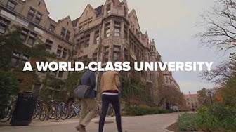 Explore Chicago: Discover the Global City UChicago Calls Home