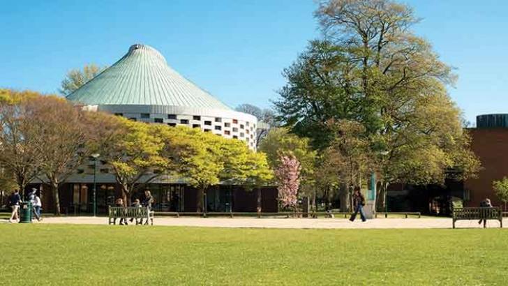 苏塞克斯大学