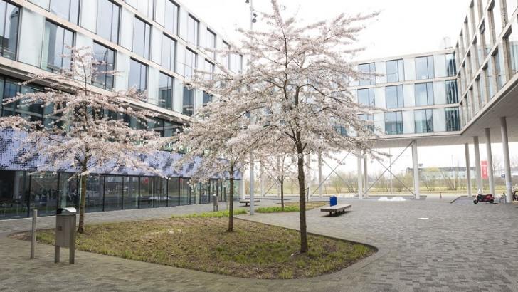 阿姆斯特丹大学